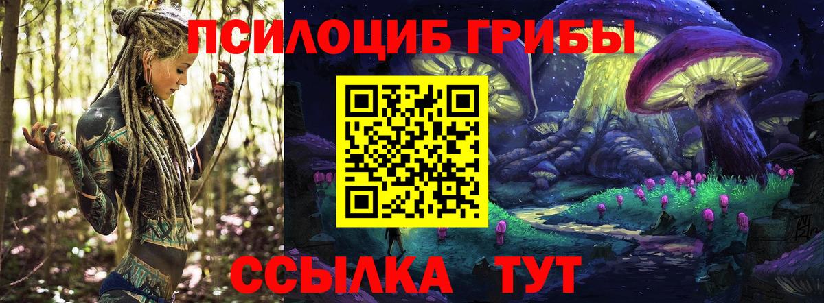 Галлюциногенные грибы прущие грибы  Вход с VPN  купить наркотики цена  Электрогорск 