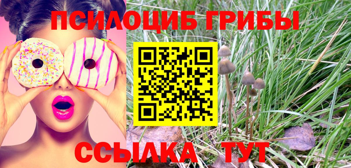 Псилоцибиновые грибы ЛСД Электрогорск